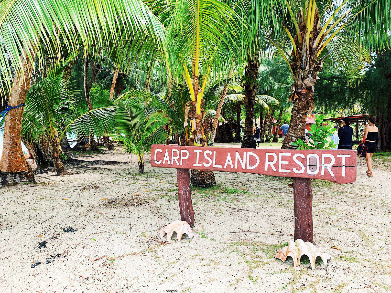 カープ島の観光ガイド 時計のない島 のホテル レストラン アクティビティ情報 パラオタイムス Palau Times