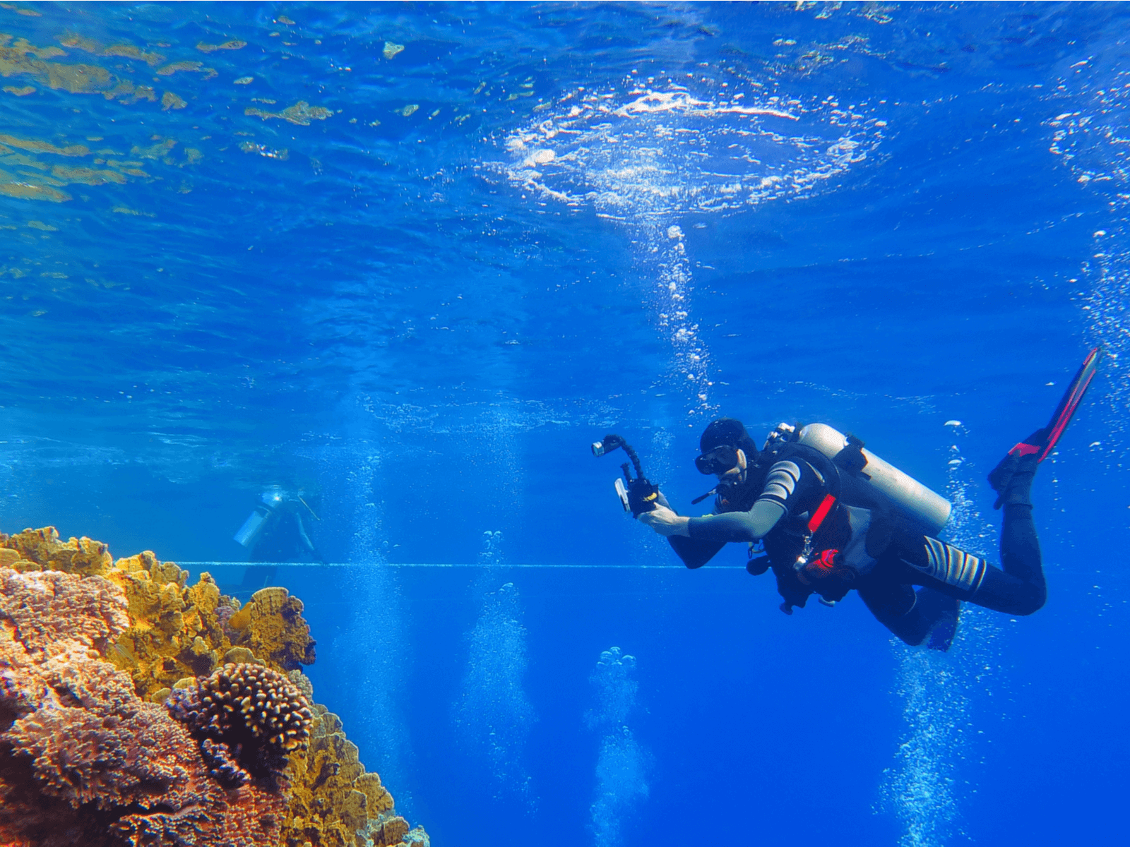 水中カメラを賢く 選ぶコツ 機材が必要 ダイビングに最適なおすすめ8選 パラオタイムス Palau Times