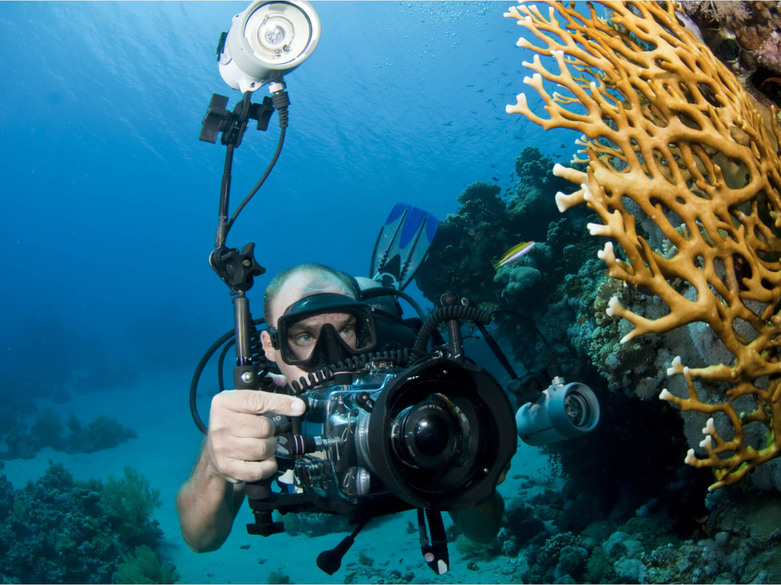 ダイビングにおすすめの水中カメラ8選！選び方や価格を徹底比較 
